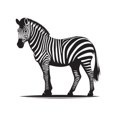 Fototapeta na wymiar Serendipity in Stripes: A Playful Display of Zebra Silhouettes Depicting the Whimsical Nature of Striped Equines - Zebra Illustration - Zebra Vector - African Horse Silhouette 