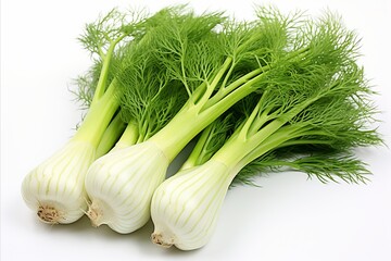 Fresh fennel on clean white background for eye catching advertisements and packaging designs