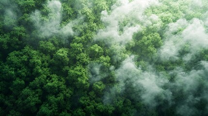 illustration of a co2 gas in clouds on natural forest based energy save