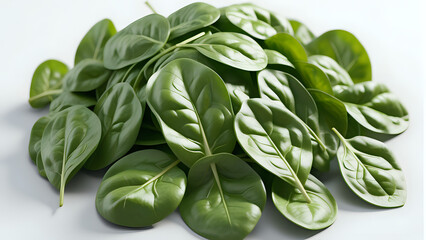 basil leaves close-up on white background