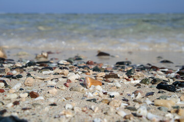 Fototapeta na wymiar Cone snail and typical, colorful stones washed ashore on a sandy beach of the red sea.