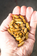 insects food, popular food in asia