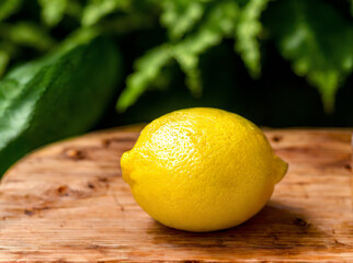 a ripe lemon sitting on top of a wooden table next to a leafy green leaf on top of a piece of wood