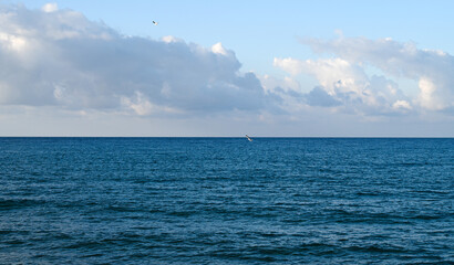 Obraz premium seagull over the Mediterranean sea on a sunny day 7