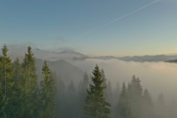 Aerial view of beautiful mountains and conifer trees on foggy morning