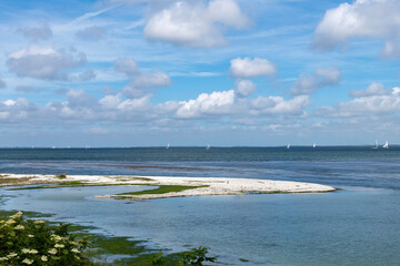 Panoramic view over the waters of Grevelingen lake with sandbar in front in Zeeland, the Netherlands on a sunny day with horizon filled with small sail ships and large cumulus clouds in blue sky © Sonja