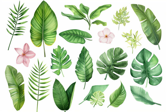 Tropical plants and flowers painted in watercolour on a white background pattern collection