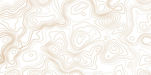 Topographic map. Grid, texture, relief contour. Land territory topography vector graphic background or cartography contour topographical pattern wallpaper