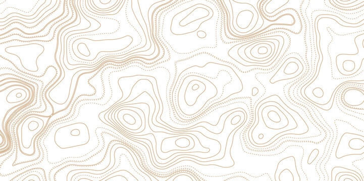 Topographic map. Grid, texture, relief contour. Land territory topography vector graphic background or cartography contour topographical pattern wallpaper