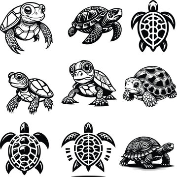 Turtle Vector Art illustrator Design