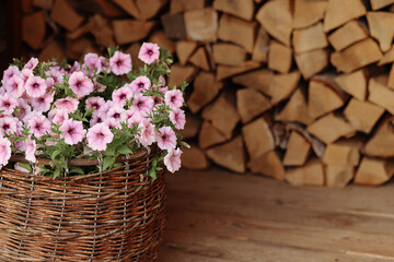 Vibrant pink flowers in a rustic basket, set against a backdrop of stacked firewood. Ideal for home decor or spring renewal concepts. Plenty of copy space.