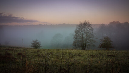 Fototapeta na wymiar morning mist over the plain