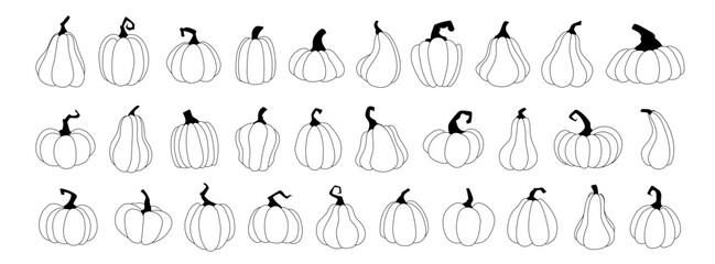 Set pumpkins, squash vector symbols illustrations. Black linear style pumpkins, halloween squash, fall harvest gourds. Autumn thanksgiving and halloween pumpkins collection.