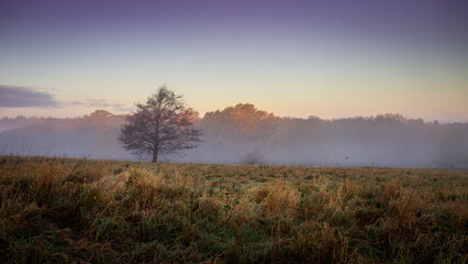 Fototapeta na wymiar morning mist over the plain