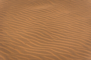 Close up orange sand texture of sand dunes in Great Thar Desert in in Jaisalmer, Rajasthan, India.
