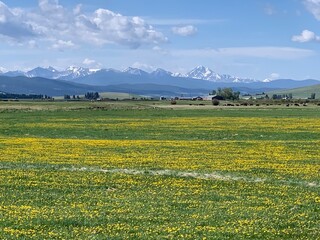 View of distant snowcapped mountains in the Bitterroot range in Southern Montana fronted by a...