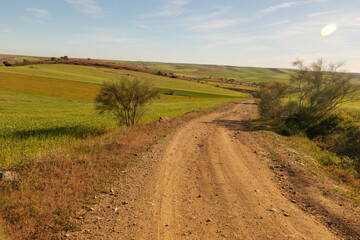Fototapeta na wymiar Pilgerweg Camino Via de la Plata im Frühling kurz vor Calzadilla de los Barros, Extremadura, Spanien. Eine landwirtschaflich geprägte Landschaft mit einsamen Wegen und Schotterstraßen.