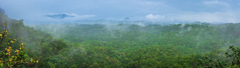 Panoramic view of Pachmarhi valley having clouds and mist shrouded hills rolling on each other from vantage point Green Valley view point in Pachmarchi, Madhya Pradesh, India.