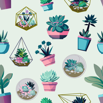 Pattern with florarium with succulents in a greenhouse, cactus in a pot. Indoor houseplant in a flower pot. Home garden, greenhouse, gardening enthusiast. Wallpaper for home store, scrapbooking, texti