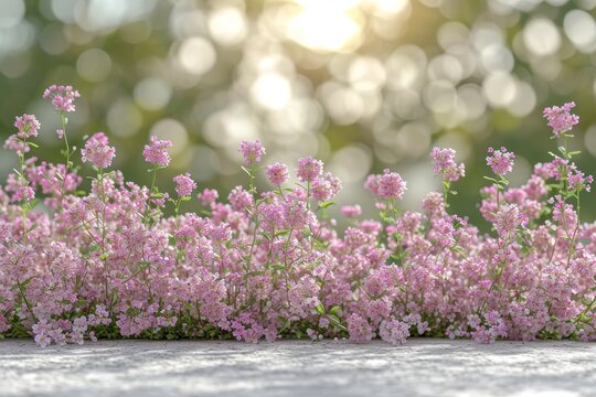 A stunning image of an abundance of pink flowers blossoming and emerging from the soil.