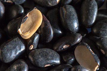 sectional view of black beans macro