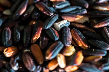 raw wild rice close up
