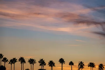 Foto auf Alu-Dibond Silhouette of lighthouse and palm trees against beautiful sunset sunrise dusk dawn fire sky in Long Beach, California for romantic times © Tamme