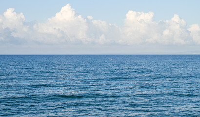 seagull over the Mediterranean sea on a sunny day 6