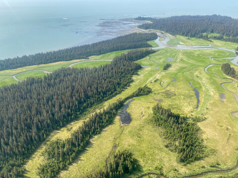 Salt marsh along Cook Inlet shoreline. Wetland sedge field at Spring Point, Shelter Cove in Lake Clark National Park and Preserve in Alaska. Sedge meadow.