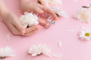 Obraz na płótnie Canvas Flat lay delicate hands of woman holding perfume bottle amidst white flowers on pink surface. Concept spring aroma water for skincare