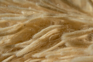 A macro photograph of a blanket shows a soft, fluffy beige pile, creating a cozy and warm atmosphere