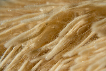 A macro photograph of a blanket shows a soft, fluffy beige pile, creating a cozy and warm atmosphere