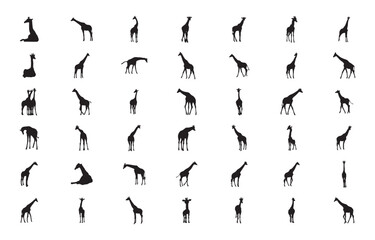 giraffe vector set black sill silhouette on white background - obrazy, fototapety, plakaty