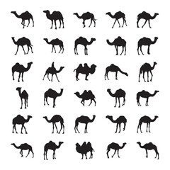 Camel silhouette set black logo animals silhouettes icons camel riders desert palm silhouette vector illustration camel set, vector set, - obrazy, fototapety, plakaty