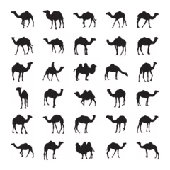 Foto op Plexiglas Camel silhouette set black logo animals silhouettes icons camel riders desert palm silhouette vector illustration camel set, vector set, © Sharafat