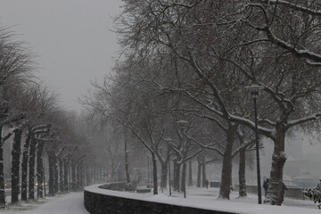 Snow pictures that were taken in Cologne (NRW). They look very beautiful :=)