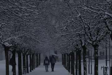 Snow pictures that were taken in Cologne (NRW). They look very beautiful :=)