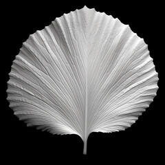 Minimalist Art: Black and White Biloba Leaf -- Chaos 50