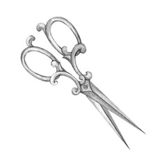Hairdresser and barber watercolor scissors