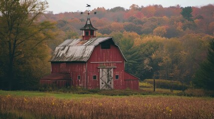 Shot of a barn with a traditional weathervane on the roof - obrazy, fototapety, plakaty