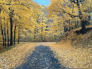 Fall