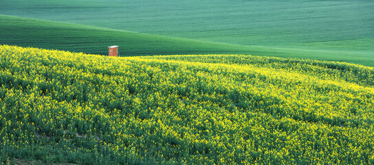 Hunting tower among blooming rapeseed and wheat fields in spring. South Moravia, Czech republic....