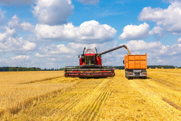 Combine harvester load wheat in the truck at the time of harvest in a sunny summer day.