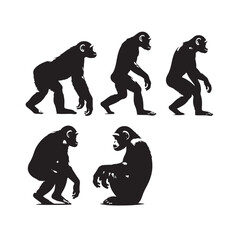 Curious Chimp Chronicles: An Array of Chimpanzee Silhouettes Curiously Capturing the Essence of Primates - Chimpanzee Silhouette - Chimpanzee Illustration - Chimpanzee Vector
