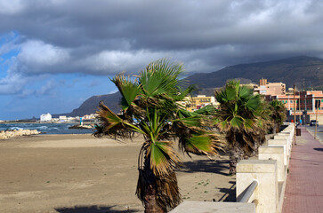 Picturesque panoramic landscape view of city beach in Trapani, Sicily. Embankment with palm trees against cloudy sky. Travel and tourism concept