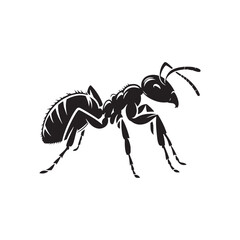 Microscopic Majesty: Ant Silhouette Set Showcasing the Delicate Beauty of Nature's Tiny Workers - Insect Silhouette - Ant Illustration - Ant Vector
