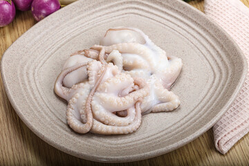 Delicous fresh raw uncooked octopus