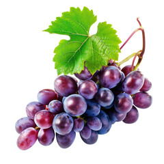 Fototapeta premium purple grapes isolated on transparent background, png