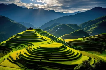 Poster A scenic view of a lush green field with a majestic mountain in the distance under a clear blue sky, Terraced rice field in the harvest season in Mu Cang, AI Generated © Ifti Digital