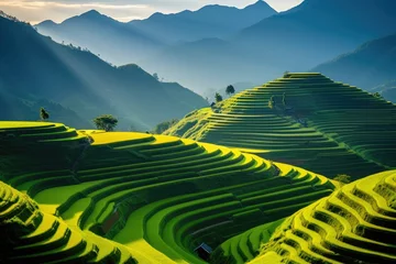 Poster A tranquil scene of a verdant field stretching towards majestic mountains in the distance, Terraced rice field in the harvest season in Mu Cang, AI Generated © Ifti Digital